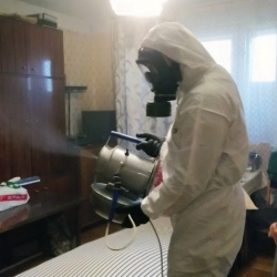 Дезинфекция от клопов в Ярцево