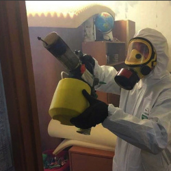 Уничтожение клопов в квартире. Ярцево